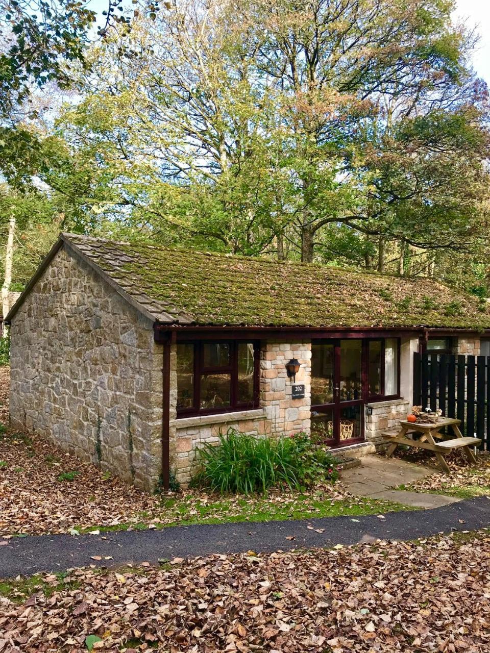 Cosy Woodland Home Uny Lelant Eksteriør bilde