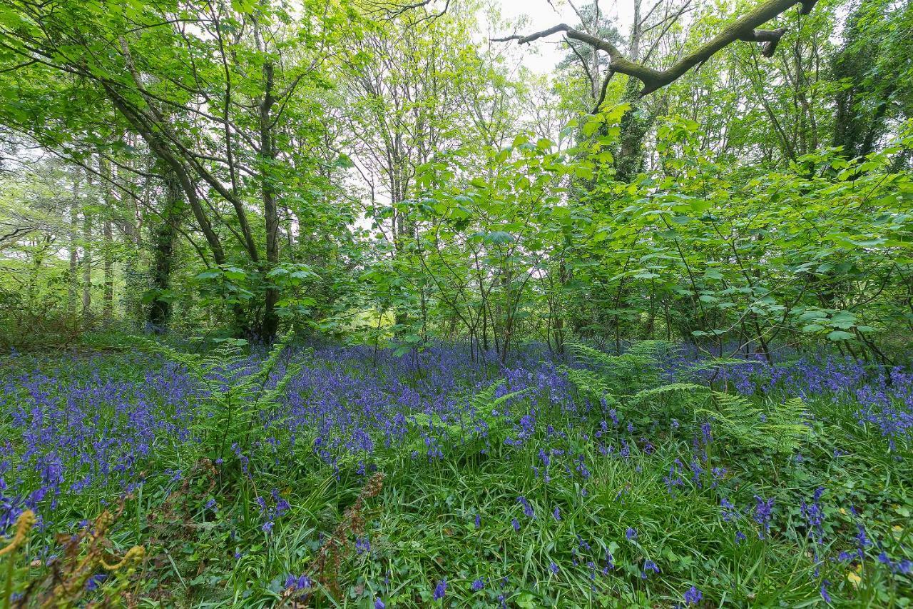 Cosy Woodland Home Uny Lelant Eksteriør bilde