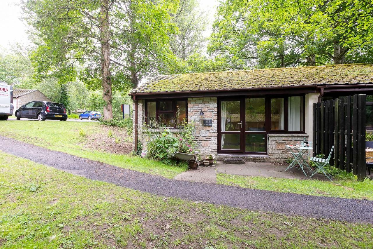 Cosy Woodland Home Uny Lelant Eksteriør bilde